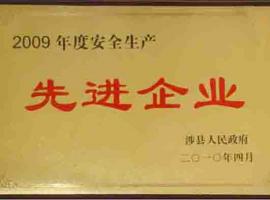 先進(jìn)企業(yè)